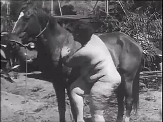 سه لزبین دانلود فیلم سکسی سکسی با تفریح ​​سرگرم کننده هستند